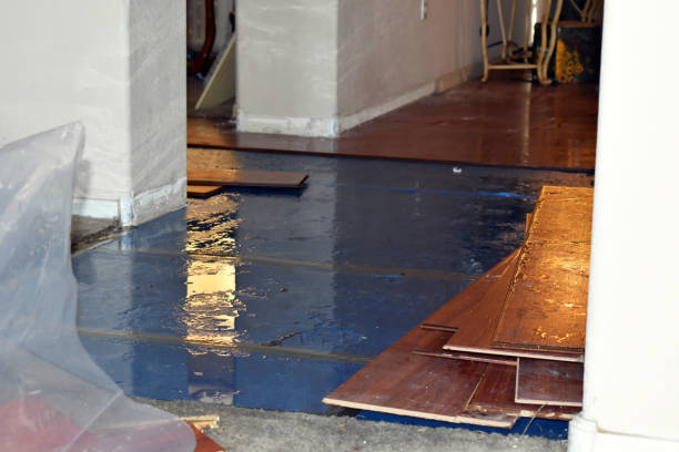 Professional Basement Water Removal technician working in West Warren, MA